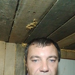 , 37 , 