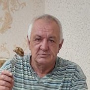 , 62 , 