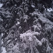 �����, 30 ���, ������