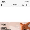 ���� ��������, ��������, 60 ��� - ��������� 28 ����� 2025 � ������ ���� ����������