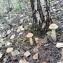 ���� ������, �������, 67 ��� - ��������� 29 ����� 2026