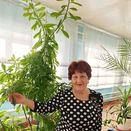 ���� Sara, ����������� - ��������� 28 ������ 2026