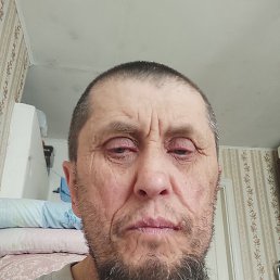 , 39, 
