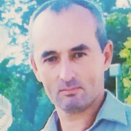 ����, �����-���������, 48 ���