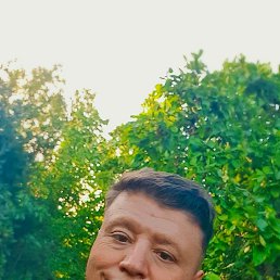 Bruno, 41, 