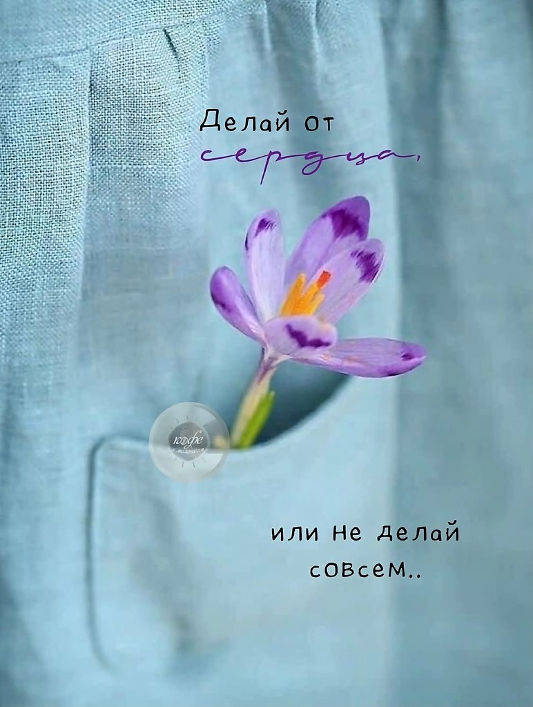 �������� ������ - 7 ���� 2026 � 13:41