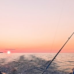 ������, ���������, 37 ���