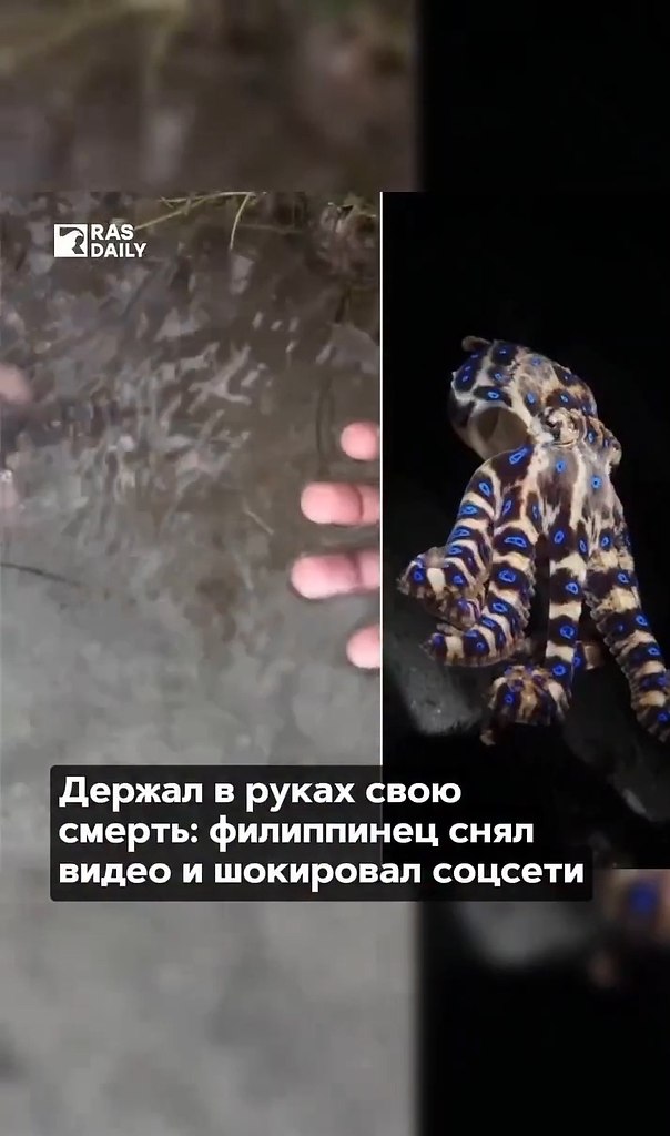 ����� ����������� ������� ���������� �������������. ���������� ������ �� ���������� ������� ���� ... - 2