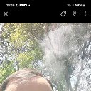  Emil, , 41  -  21  2025    