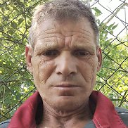 , 53 , 