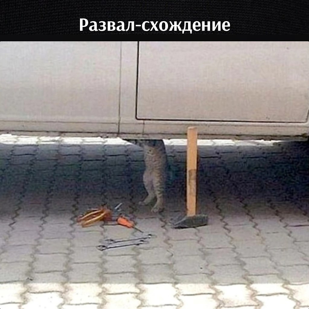 : 