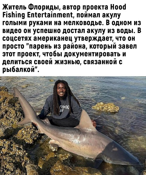   - 2