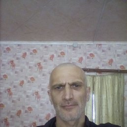 , 40, 