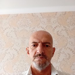 , 53 , 