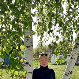 ���� �����, ������������, 66 ��� - ��������� 1 ������ 2024