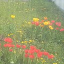 ���� ������, ���������, 57 ��� - ��������� 16 ������ 2025 � ������ ���� ����������