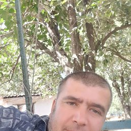 ����, 50 ���, ����