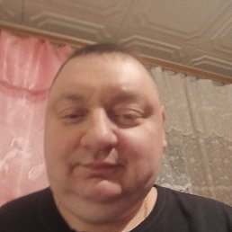 ����, 46 ���, ������