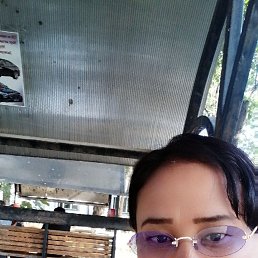 , 29, 