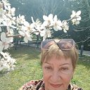 �������� ������� ���� 2025�. �� ������� ���� ����������