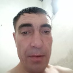 ������, ������, 40 ���