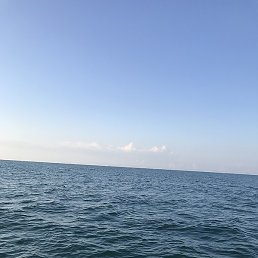 �����, ��������, 43 ����