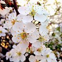 ���� ����, ����, 39 ��� - ��������� 4 ������ 2026 � ������ ������ ��������