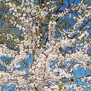 ���� ������ ���������, ����������, 56 ��� - ��������� 4 ��� 2026 � ������ ���� ����������