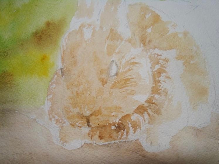   . ( 1).   .     ... - 5