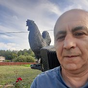 , 56 , 
