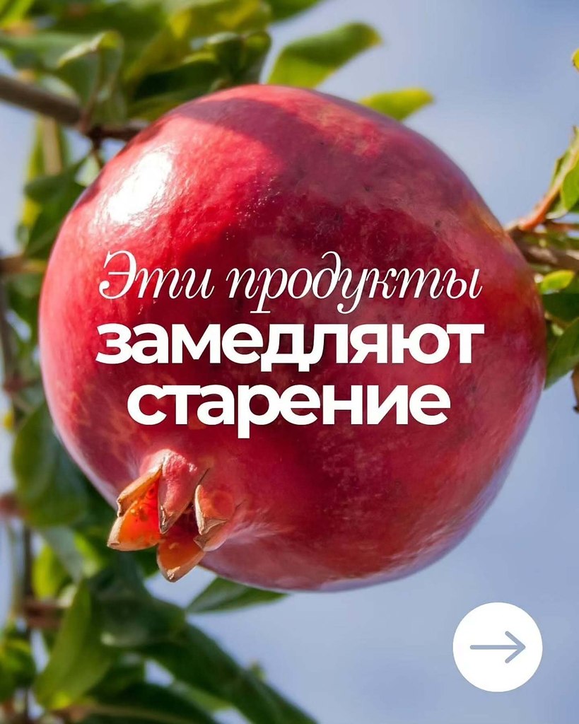 ��c�a�.o�e��a� ���op�a���po�����, �o�op�e �a�e����� c�ape��e�o�pa��� � o��pa�� ������������ �������