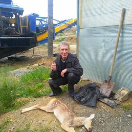 �����, 63 ����, ���������