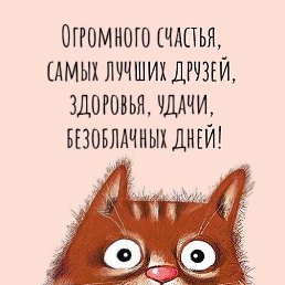 ���� ����� ����������, ��������, 55 ��� - ��������� 25 ������ 2025