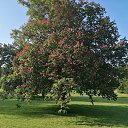 ���� Alexander, ������, 62 ���� - ��������� 1 ������� 2023 � ������ �������