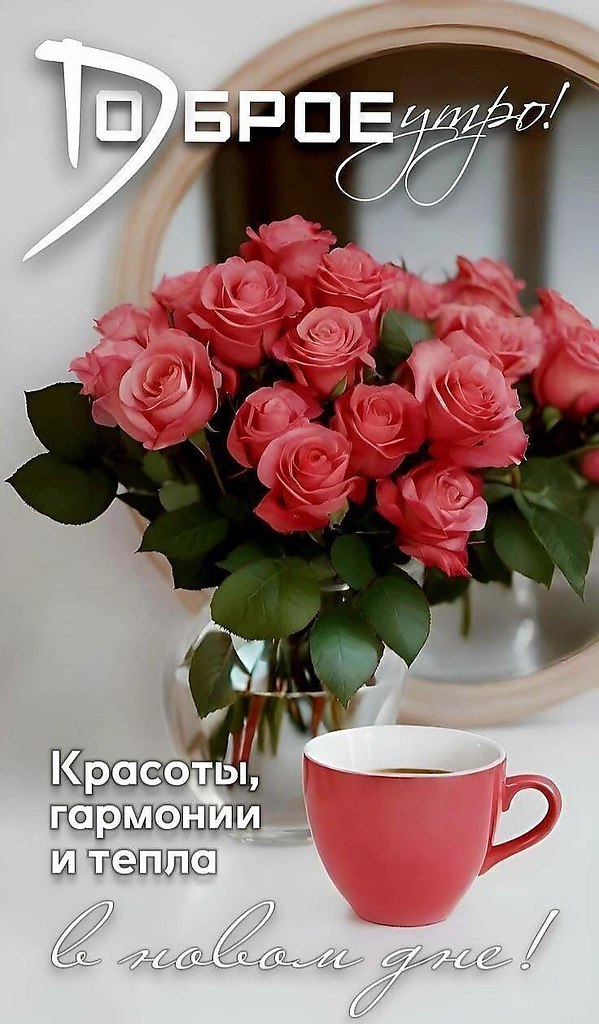 20 . .   !   !    ,   !