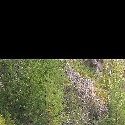 ������, 49 ���, �����������