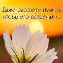 ���� ������, �����-��������� - ��������� 25 ��� 2024 � ������ ������ ��������