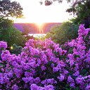 ���� ����, ������ - ��������� 2 ��� 2026 � ������ ������ ��������