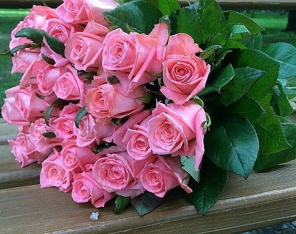 ����� �������� - 16 ���� 2025 � 20:32 - 4