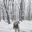 ���� ������, ����������, 54 ���� - ��������� 20 ������ 2026 � ������ ���� ����������