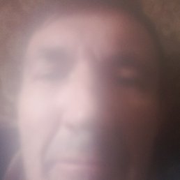 �����, �������, 49 ���