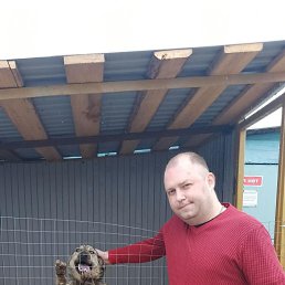 , 37 , 