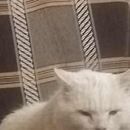 ���� ������, ������, 57 ��� - ��������� 20 ������ 2023