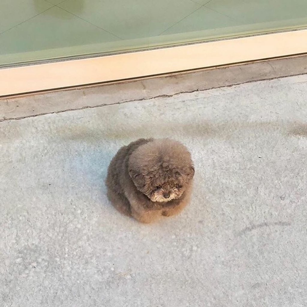    ?