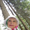  ,  -  28  2025    -    ,      .