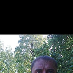 ���� ��������, ���������� �����, 45 ��� - ��������� 30 ����� 2026