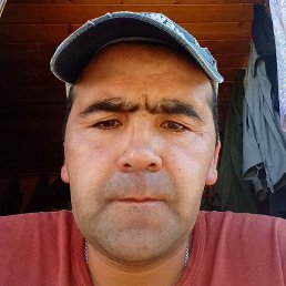 ����, ������, 45 ���