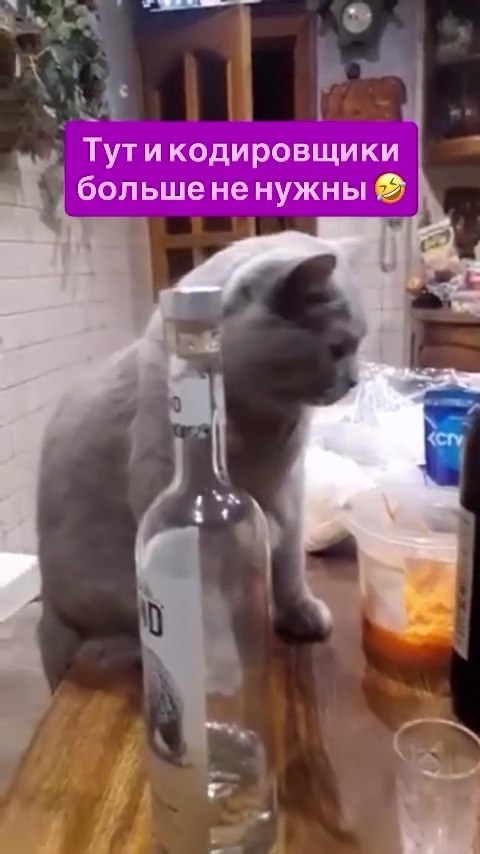      ?)