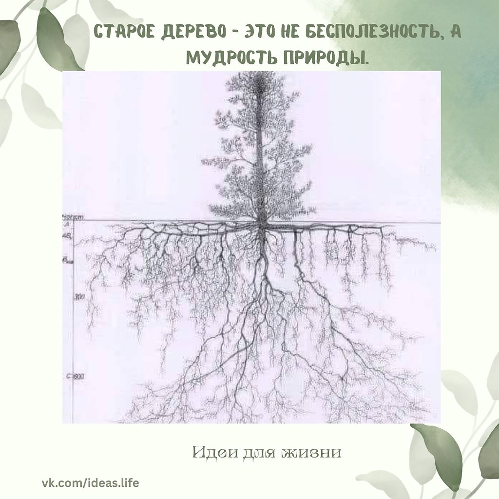 Пусть кто-то говорит, что оно