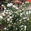 ���� *Galina*, ������, 55 ��� - ��������� 25 ������ 2026 � ������ ������� - 2026. �����